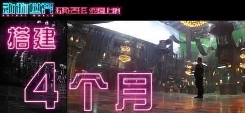 在线国产福利视频,带你领略视觉盛宴与情感共鸣