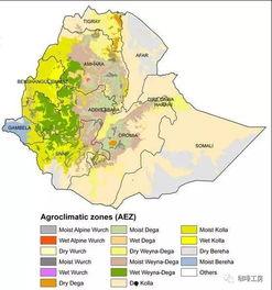 国产三级 第4页