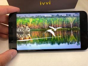 手机看大片国产